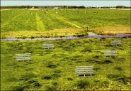 Zien-20-wooden-fences-detail-2000